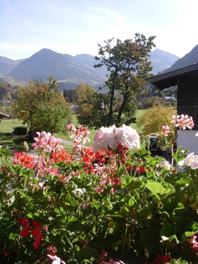 Malernhof Acomodação com café da manhã Kitzbühel Exterior foto