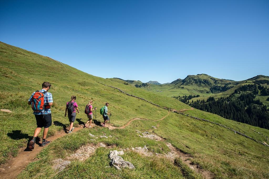 Malernhof Acomodação com café da manhã Kitzbühel Exterior foto